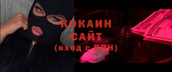 прущие грибы Алексин