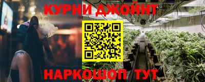 шишки Гай
