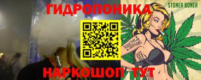 шишки Гай