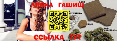шишки Гай