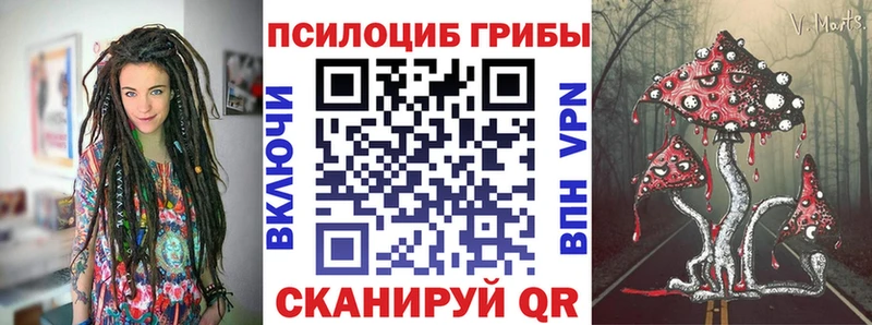 Галлюциногенные грибы Psilocybine cubensis  Березники 