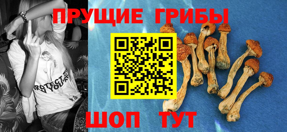 Псилоцибиновые грибы мицелий Березники