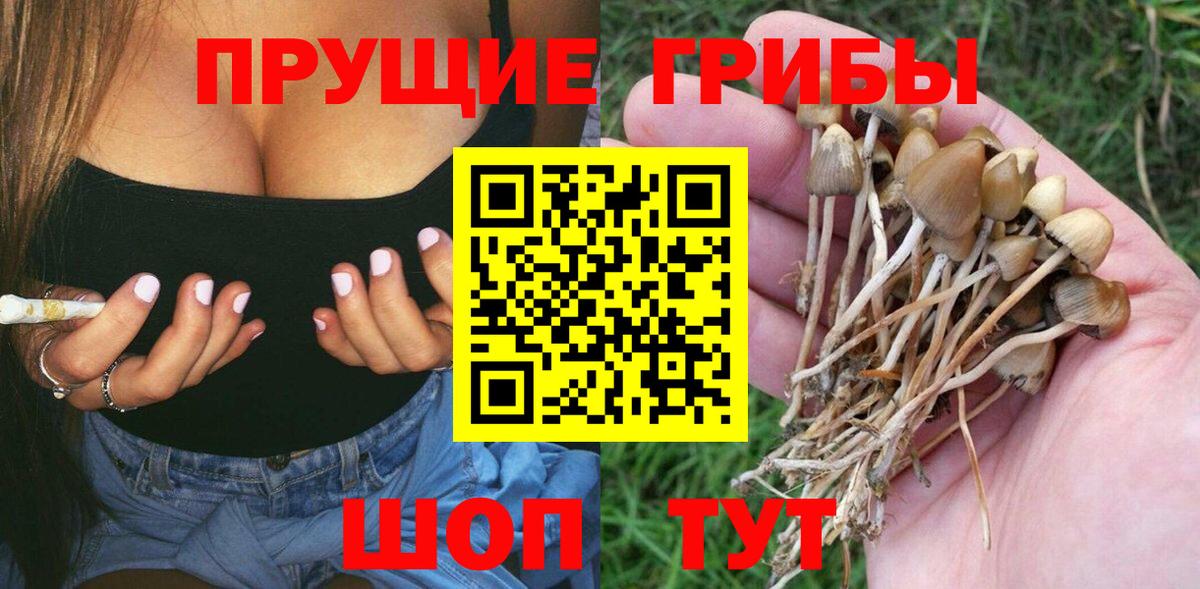 Псилоцибиновые грибы Magic Shrooms  Вход с VPN  где купить наркотик  Березники 